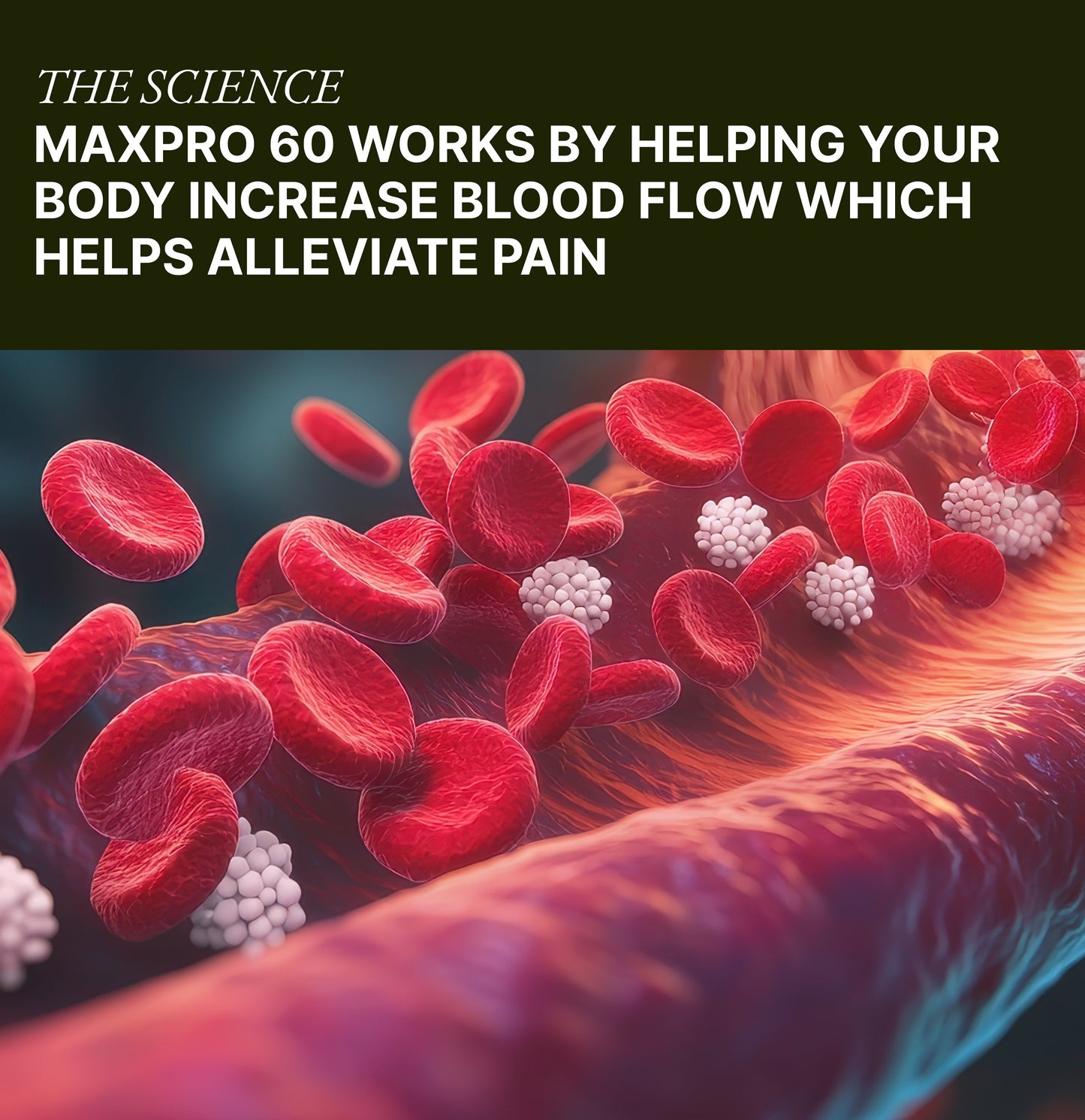 "The science behind Max Pro 60"